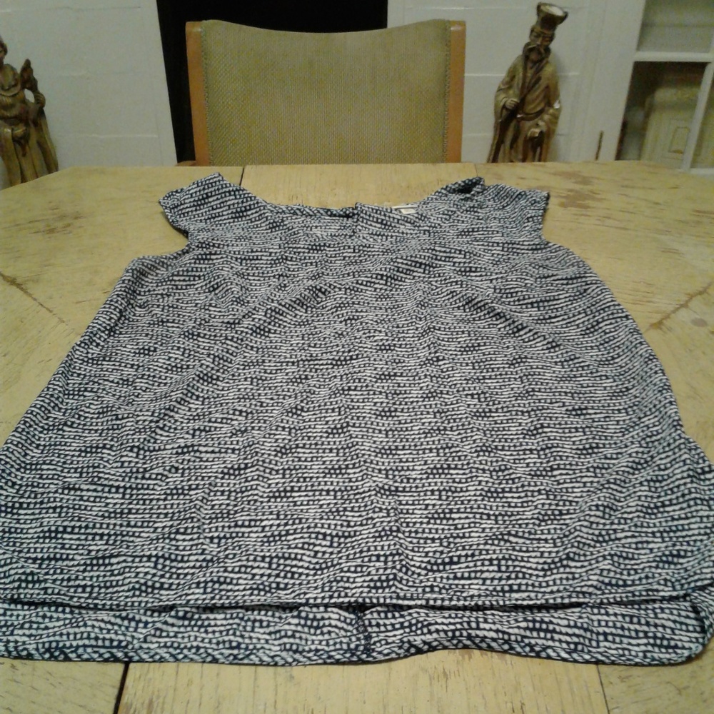 Blue/ White Blouse